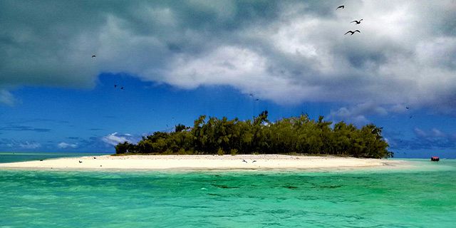 Snorkelling 3 wonderful sites rodrigues (3)